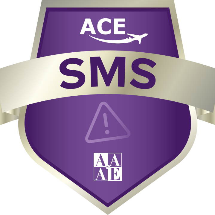 ACE Safety Management Systems
